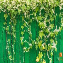 Tranh dán tường cho phòng khách đẹp tại Hà Nội NA - 031